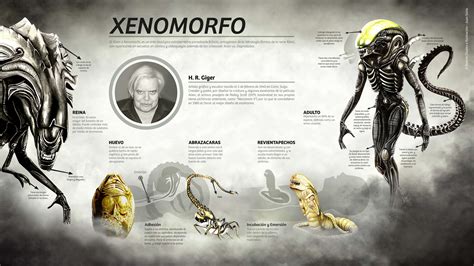 Xenomorfo O Aliens Infographic Behance