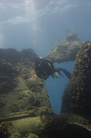 Puerto Lobos Dive Camp Tamiahua ATUALIZADO 2022 O Que Saber Antes