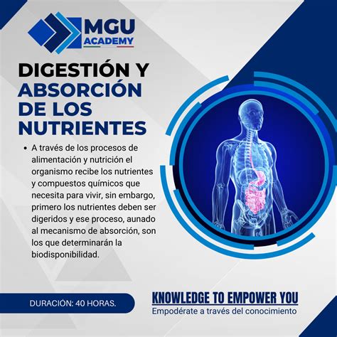 Digestión Y Absorción De Los Nutrientes Mgu Academy