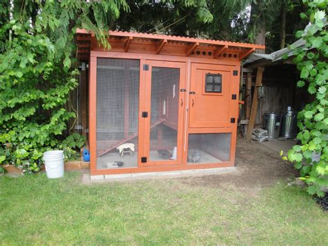 Urban Coop BackYard Chickens Learn How To Raise Chickens