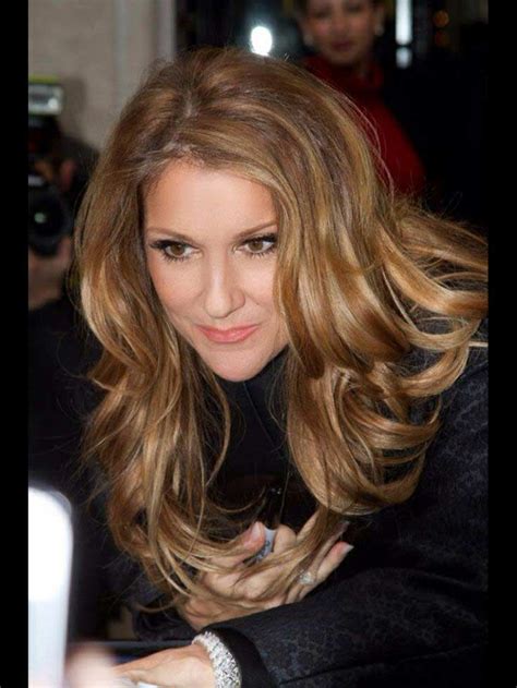 Celine Dion Hair - Hair Colar And Cut Style