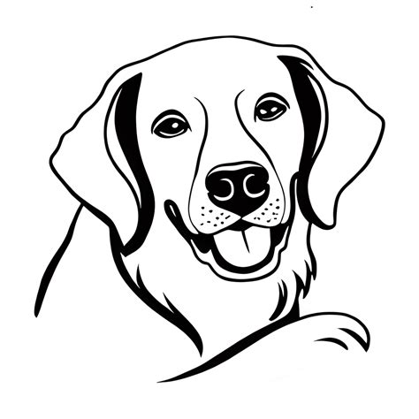 Realistic Golden Retriever Adult Coloring Page · Creative Fabrica