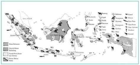 Jenis Dan Persebaran Flora Dan Fauna Di Indonesia Panduan Pelajaran