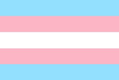Desaturated Pride Flags Lesbian Gay Bi Trans Tumbex