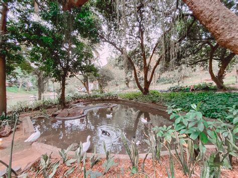 Parque Guinle Tudo Que Voc Precisa Saber Antes De Ir Viaje Na Web