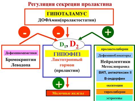 Гормональные средства - online presentation
