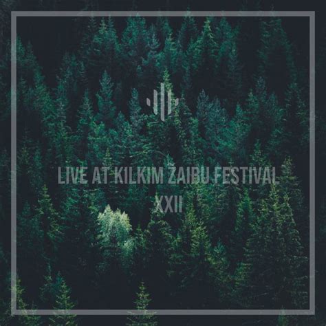 Live At Kilkim Žaibu Festival Xxii By Žalvarinis Album Reviews