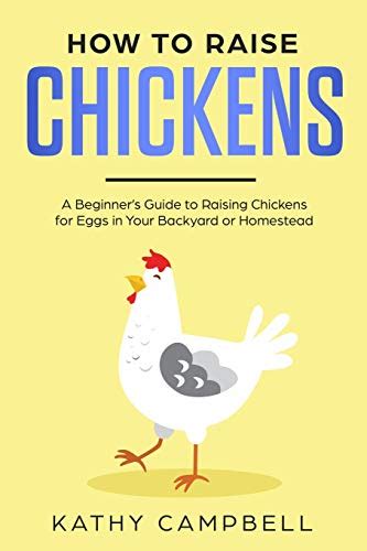 How To Raise Chickens A Beginners Guide To Raising Chickens For Eggs