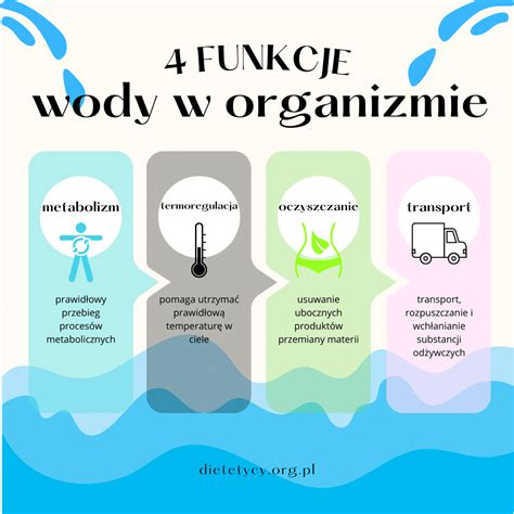 Rola wody w organizmie Źródła wody w diecie i główne funkcje