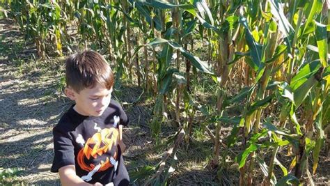 Corn Maze – Maryland Corn Maze