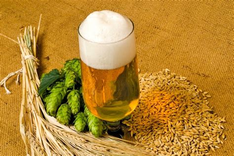 Barley Beer