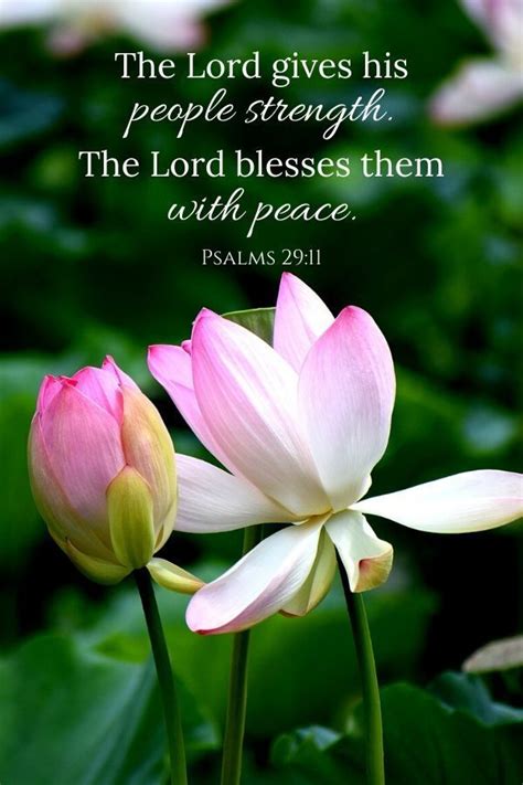 Inspirational Scriptures About Peace Peace Scripture Comforting