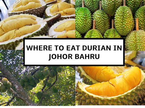 Place To Eat Durian In Johor Bahru Include Address And Info