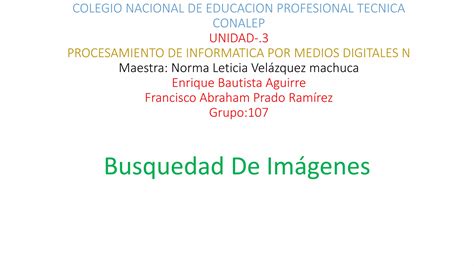 Colegio Nacional De Educacion Profesional Tecnica Busquedad En Internet Ppt