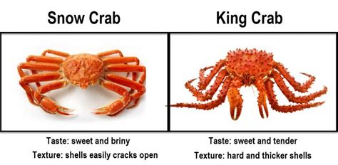 Difference Between Snow Crab Vs King Crab