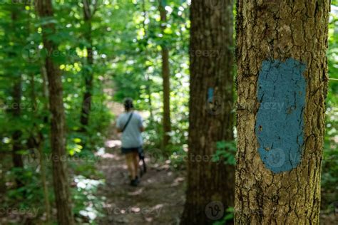 Monte Sano State Park 28631984 Stock Photo at Vecteezy