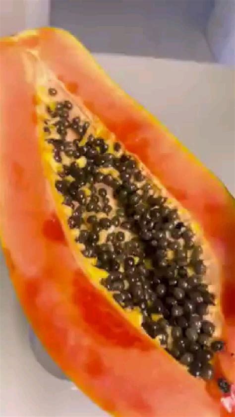 Pin By ARMANI LOPEZ On Pins By You Papaya Seed Recipes Healthy Juice