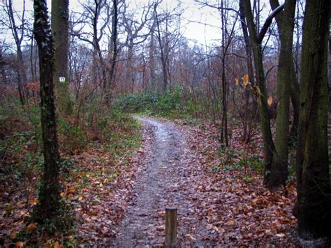 Faire de la forêt de Meudon un espace de sensibilisation à lécologie