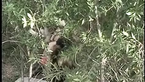 Perverted Stories Story Porn Feat Maggie Star XHamster