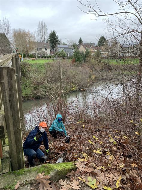 Summerlake Park Planting Tigard What An Wonder Flickr