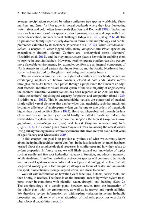 Solution The Hydraulic Architecture Of Conifers Studypool