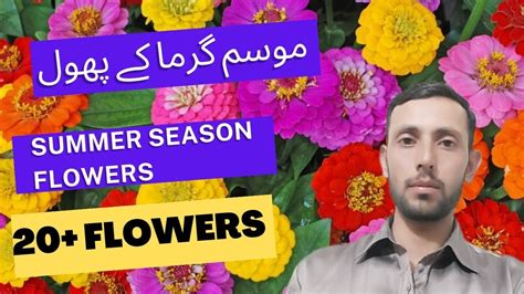 Summer Season Flowers Mosam Garma Kay Phool Top Summer Season Flowers