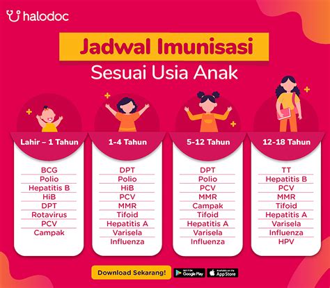 ibu catat  jadwal imunisasi dasar anak  perlu diketahui