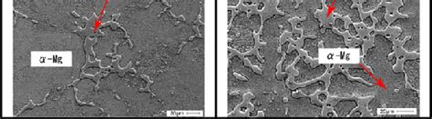 Micro Structures Of Annealed Mg Al Binary Alloy Download Scientific Diagram