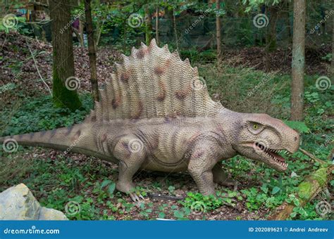 Model Of Dinosaur Dimetrodon From Genus Nonmammalian Synapsids