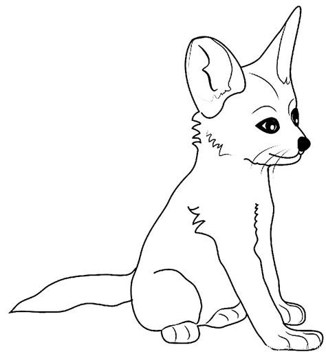 Linda Raposa Para Colorir Imprimir E Desenhar Colorirme Porn Sex Picture