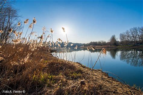 Larno Allinterno Della Riserva Di Ponte Buriano E Penna