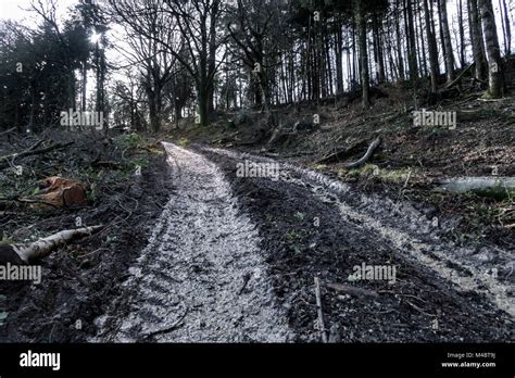 Muddy Tyre Tracks Hi Res Stock Photography And Images Alamy