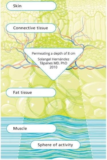 deep oscillation bodytune therapy