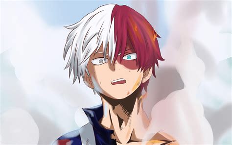 My Hero Academia Todoroki Pfp