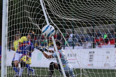 Brasil faz 7 a 1 na Colômbia e fica o bronze na Copa do Mundo CBDV