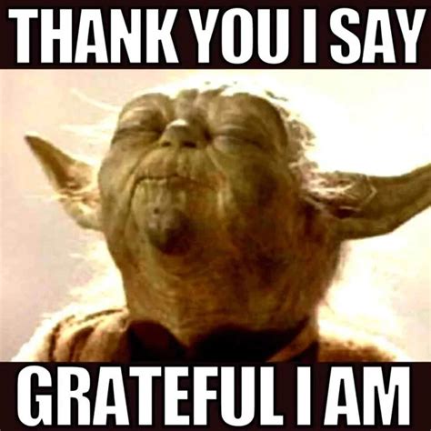 60 Thank You Memes To Share And Show Your Gratitude 2025