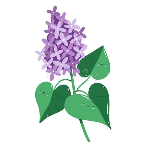 Lilac Bush Green Leaves Flowers Stock Illustrations 243 Lilac Bush