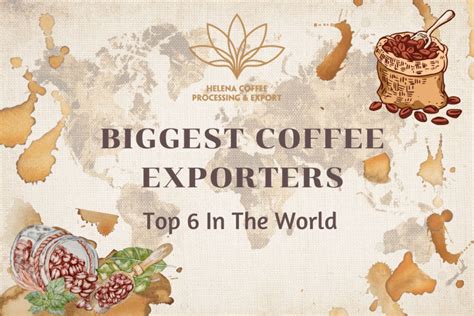 Biggest Coffee Exporters Top 6 In The World Helena Coffee Vietnam