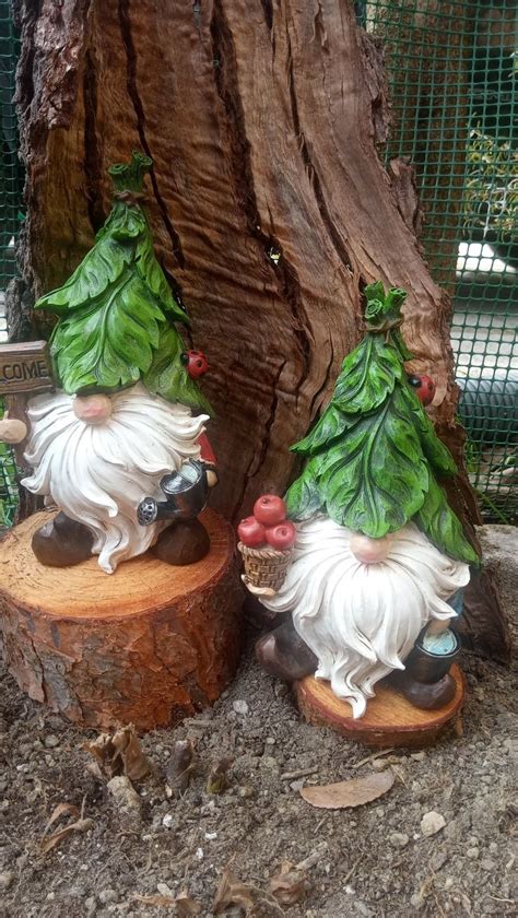 Two Garden Gnomes Sitting Next To A Tree