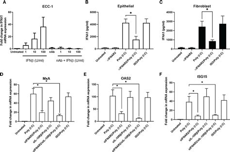 Frontiers Sex Hormones And Aging Modulate Interferon Lambda 1