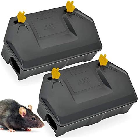 6 Best Rat Baits And Bait Stations In 2024 [detailed Reviews]