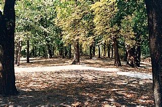 File:Клепарівська, сквер (Гора Страт), film 04 -11.jpg - Wikimedia Commons