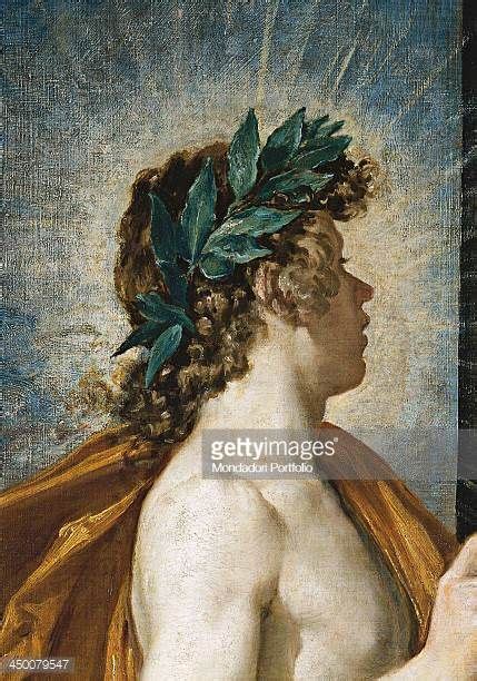 Daphne And Apollo Tree