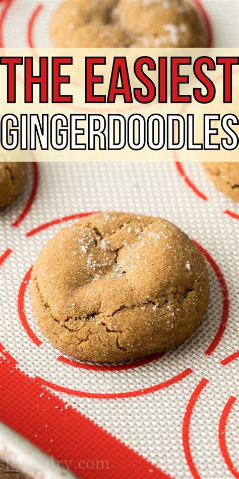 Easy Gingerdoodle Cookie Recipe I Wash You Dry