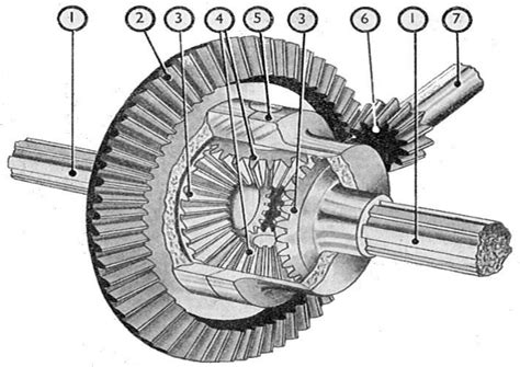 What is the difference between differential and transaxle？ - ETransaxle