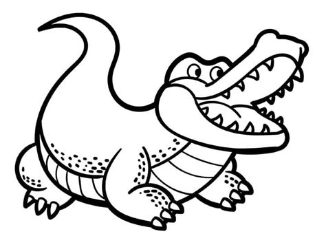 Desenhos De Crocodilo Para Colorir Pintar E Imprimir Colorironline