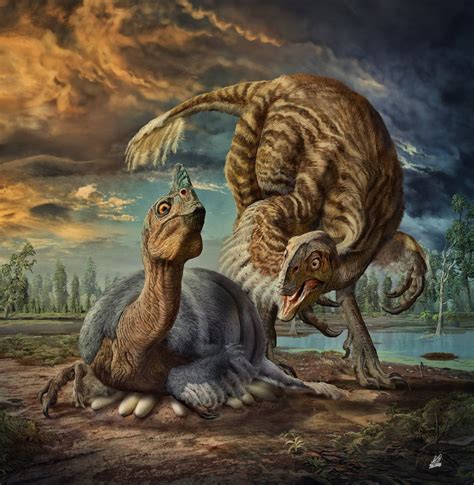 Embryo of Colossal Dinosaur Was Preserved for 90 Million Years | Live Science