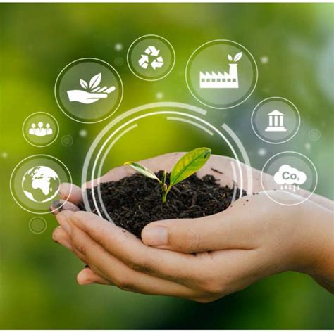 O Que E Conservação Ambiental - Conservação Ambiental - Conceito, ameaças e estratégias