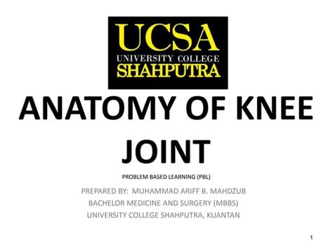 Anatomy Of Knee Joint Ppt