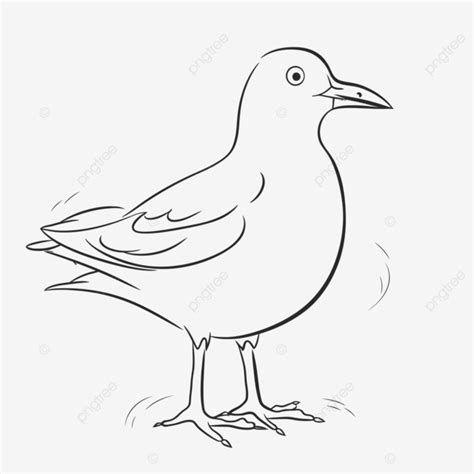 Dibujos Simples De Esbozo De Gaviotas Vector Png Dibujo De Gaviota